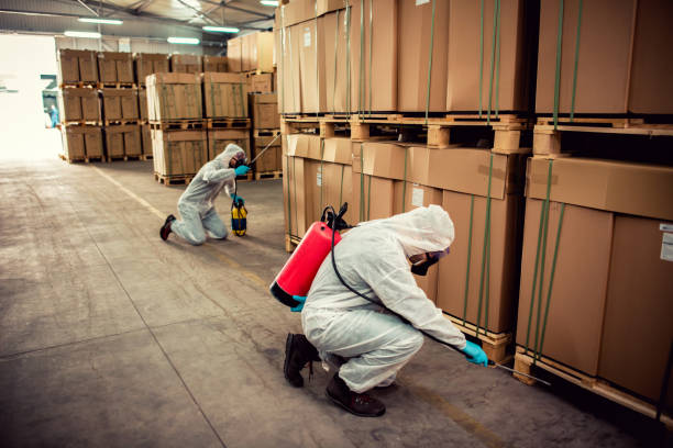 Best Best Pest Control Companies  in Sumner, WA