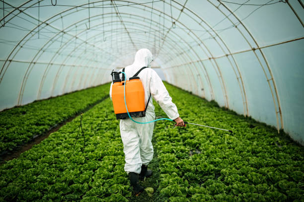 Best Affordable Pest Control Services  in Sumner, WA