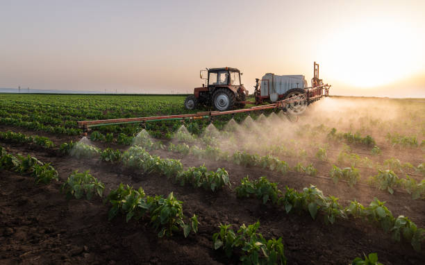 Best Mosquito Control Services  in Sumner, WA