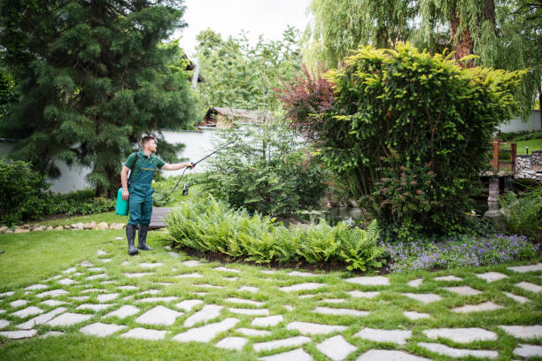 Best Pest Prevention Services  in Sumner, WA