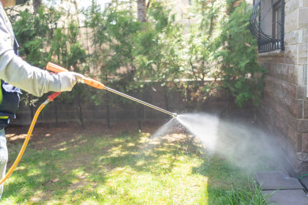 Best Flea Control Services  in Sumner, WA