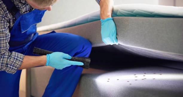 Pest Prevention Services in Sumner, WA