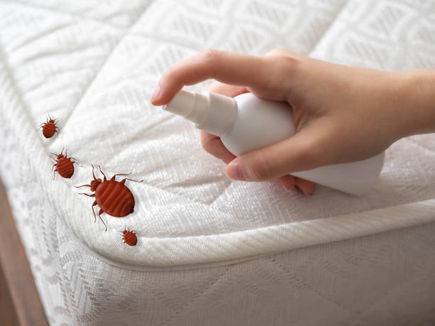 Best Insect Control  in Sumner, WA