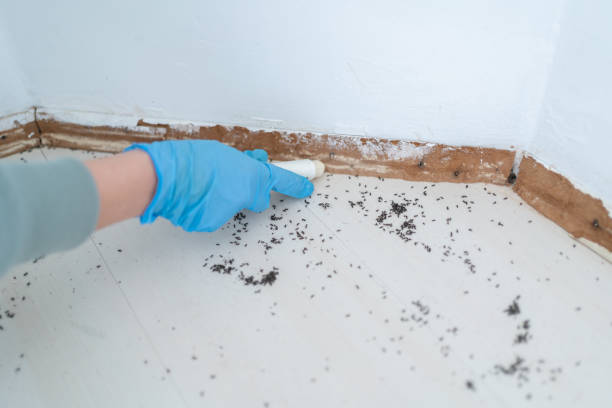 Best Commercial Pest Control Services  in Sumner, WA