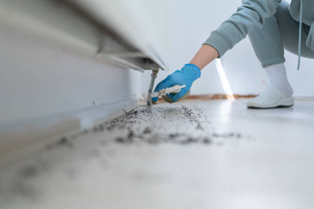 Pest Control Cost in Sumner, WA