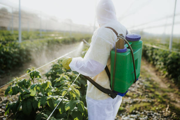 Best Bed Bug Extermination  in Sumner, WA